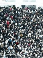 выпускников нет на бирже труда